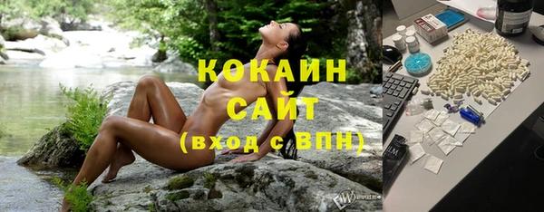 СК Волосово