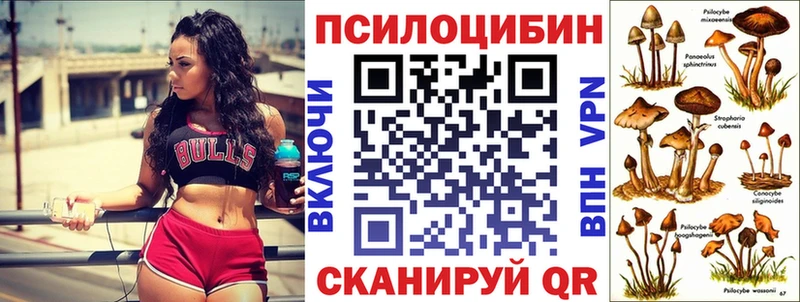 Псилоцибиновые грибы мухоморы  Купить закладки  Кохма 